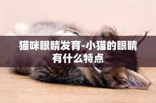 貓咪眼睛發育-小貓的眼睛有什么特點