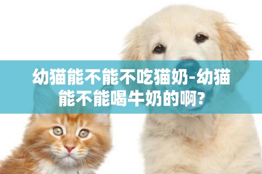 幼貓能不能不吃貓奶-幼貓能不能喝牛奶的啊?