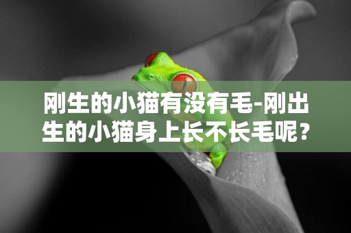 剛生的小貓有沒有毛-剛出生的小貓身上長不長毛呢？