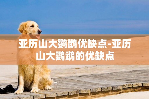 亞歷山大鸚鵡優缺點-亞歷山大鸚鵡的優缺點