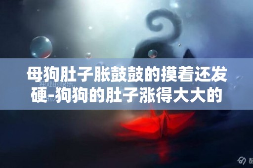 母狗肚子脹鼓鼓的摸著還發硬-狗狗的肚子漲得大大的摸起來有點硬是為什么
