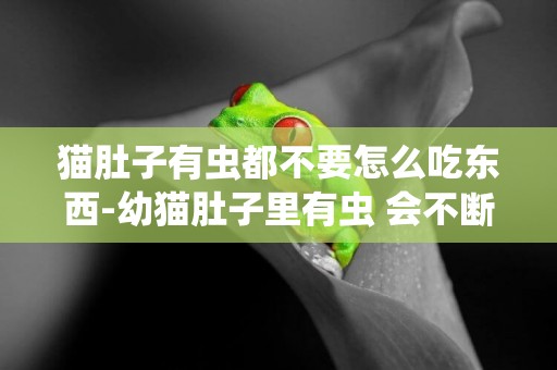 貓肚子有蟲都不要怎么吃東西-幼貓肚子里有蟲 會不斷想吃東西嗎