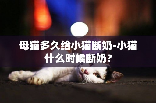 母貓多久給小貓斷奶-小貓什么時候斷奶？
