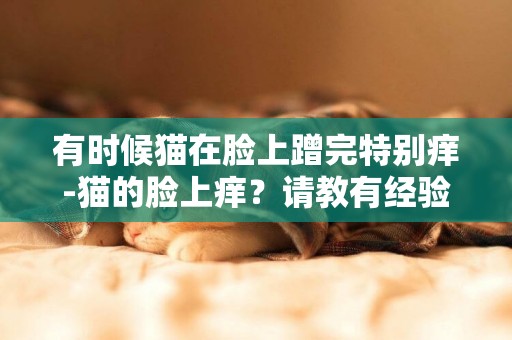 有時候貓在臉上蹭完特別癢-貓的臉上癢？請教有經驗的朋友
