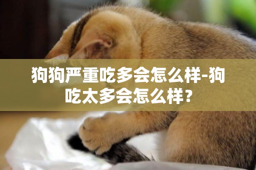 狗狗嚴重吃多會怎么樣-狗吃太多會怎么樣？