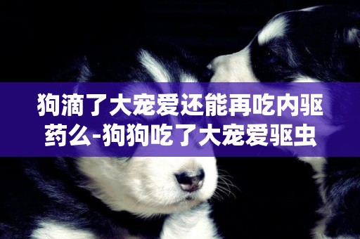 狗滴了大寵愛還能再吃內驅藥么-狗狗吃了大寵愛驅蟲藥，會怎么樣