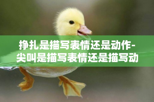 掙扎是描寫表情還是動作-尖叫是描寫表情還是描寫動作