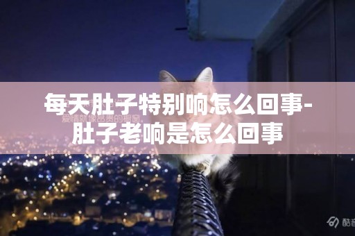 每天肚子特別響怎么回事-肚子老響是怎么回事