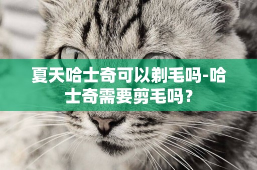 夏天哈士奇可以剃毛嗎-哈士奇需要剪毛嗎？
