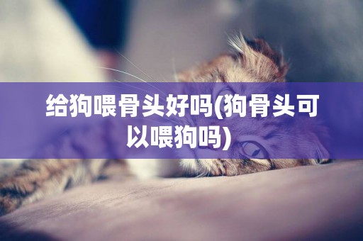 給狗喂骨頭好嗎(狗骨頭可以喂狗嗎) 