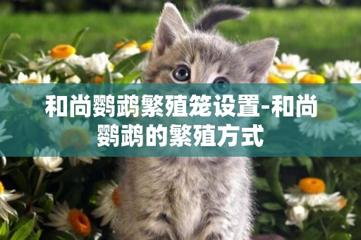 和尚鸚鵡繁殖籠設置-和尚鸚鵡的繁殖方式