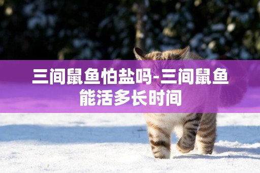 三間鼠魚怕鹽嗎-三間鼠魚能活多長時間