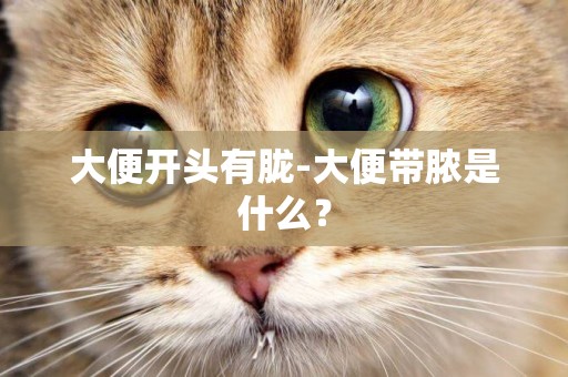 大便開頭有朧-大便帶膿是什么？