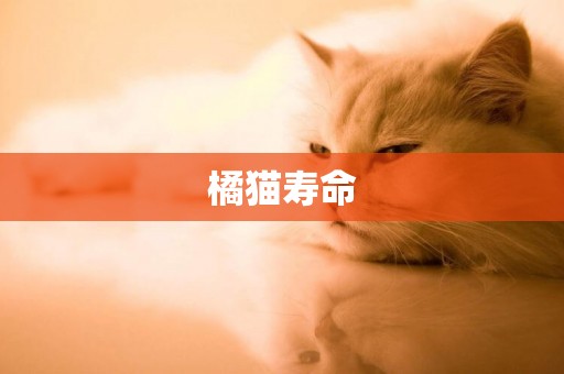 橘貓壽命