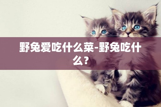 野兔愛吃什么菜-野兔吃什么？