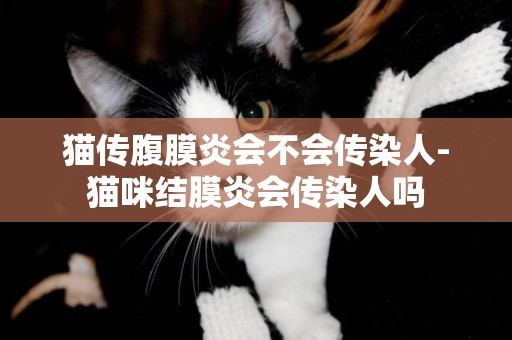 貓傳腹膜炎會不會傳染人-貓咪結膜炎會傳染人嗎
