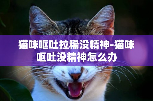 貓咪嘔吐拉稀沒精神-貓咪嘔吐沒精神怎么辦