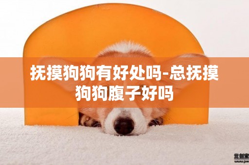 撫摸狗狗有好處嗎-總撫摸狗狗腹子好嗎