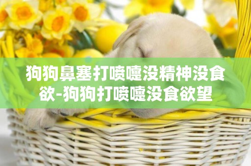 狗狗鼻塞打噴嚏沒精神沒食欲-狗狗打噴嚏沒食欲望