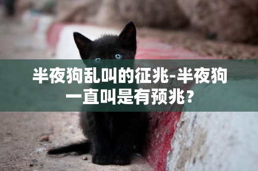半夜狗亂叫的征兆-半夜狗一直叫是有預兆？