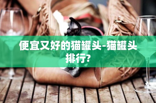 便宜又好的貓罐頭-貓罐頭排行?