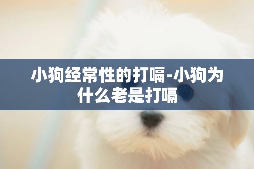 小狗經常性的打嗝-小狗為什么老是打嗝