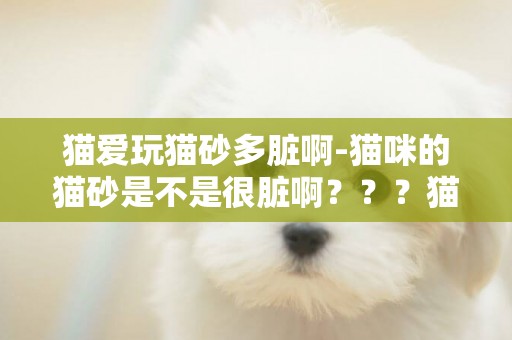 貓愛玩貓砂多臟啊-貓咪的貓砂是不是很臟啊？？？貓砂有除菌作用嗎，貓砂除菌效果怎么樣，有沒有好清理的那