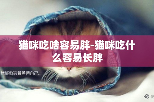 貓咪吃啥容易胖-貓咪吃什么容易長胖