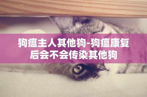 狗瘟主人其他狗-狗瘟康復后會不會傳染其他狗