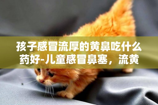 孩子感冒流厚的黃鼻吃什么藥好-兒童感冒鼻塞，流黃鼻涕吃什么藥