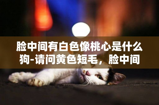 臉中間有白色像桃心是什么狗-請問黃色短毛，臉中間有一條白的狗狗是什么品種！如圖所示：