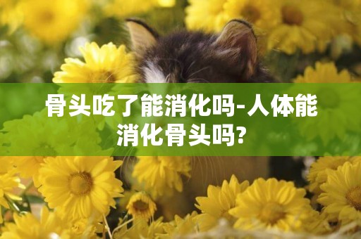 骨頭吃了能消化嗎-人體能消化骨頭嗎?