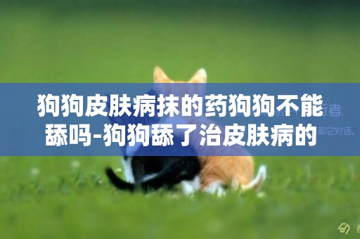 狗狗皮膚病抹的藥狗狗不能舔嗎-狗狗舔了治皮膚病的藥水要緊