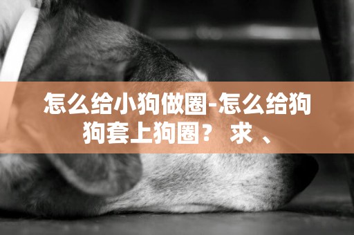 怎么給小狗做圈-怎么給狗狗套上狗圈？ 求 、