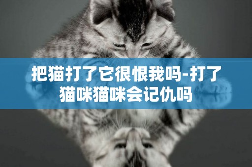 把貓打了它很恨我嗎-打了貓咪貓咪會記仇嗎