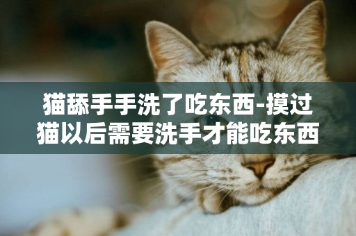 貓舔手手洗了吃東西-摸過貓以后需要洗手才能吃東西么