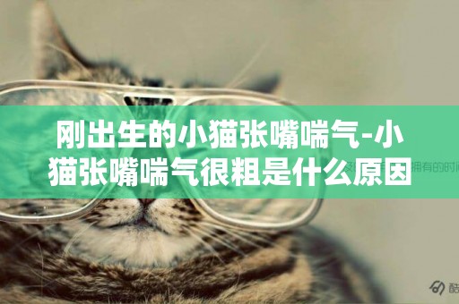 剛出生的小貓張嘴喘氣-小貓張嘴喘氣很粗是什么原因，急求，急求，真的急