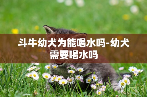 斗牛幼犬為能喝水嗎-幼犬需要喝水嗎