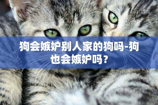 狗會嫉妒別人家的狗嗎-狗也會嫉妒嗎？