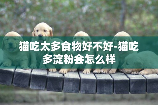 貓吃太多食物好不好-貓吃多淀粉會怎么樣