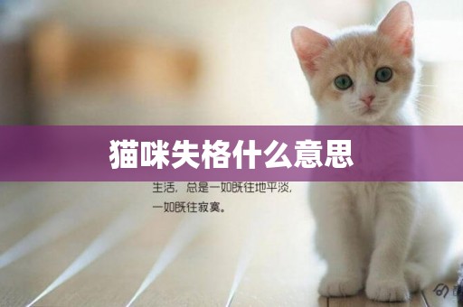 貓咪失格什么意思