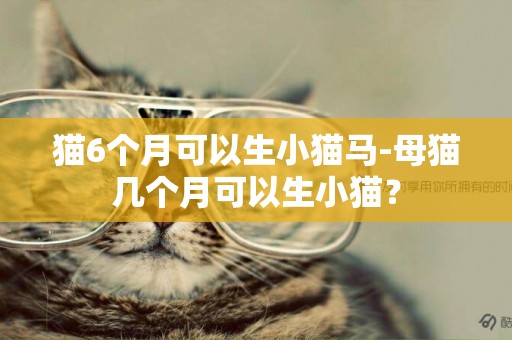 貓6個月可以生小貓馬-母貓幾個月可以生小貓？