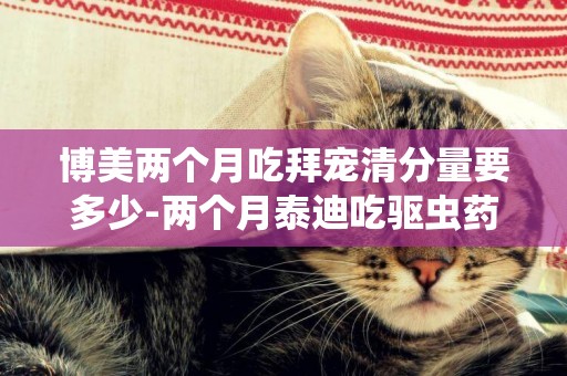 博美兩個月吃拜寵清分量要多少-兩個月泰迪吃驅蟲藥吃多少