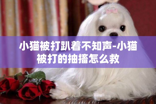 小貓被打趴著不知聲-小貓被打的抽搐怎么救