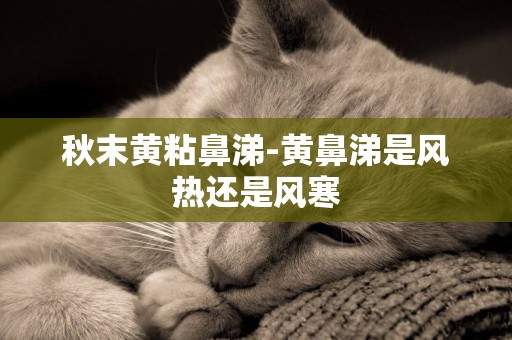 秋末黃粘鼻涕-黃鼻涕是風熱還是風寒