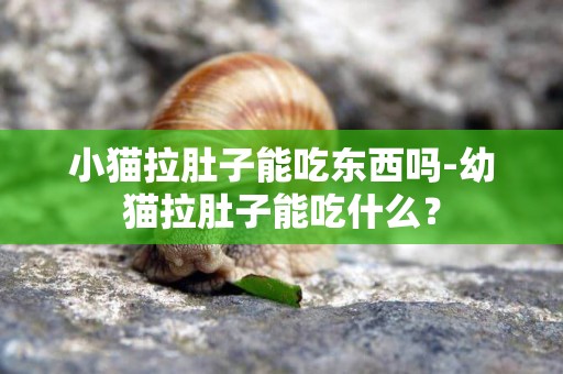 小貓拉肚子能吃東西嗎-幼貓拉肚子能吃什么？
