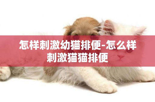 怎樣刺激幼貓排便-怎么樣刺激貓貓排便