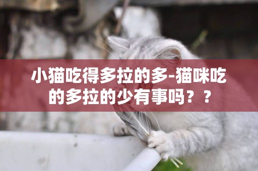 小貓吃得多拉的多-貓咪吃的多拉的少有事嗎？？