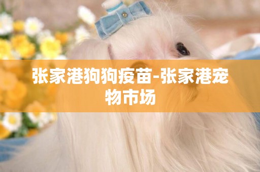 張家港狗狗疫苗-張家港寵物市場