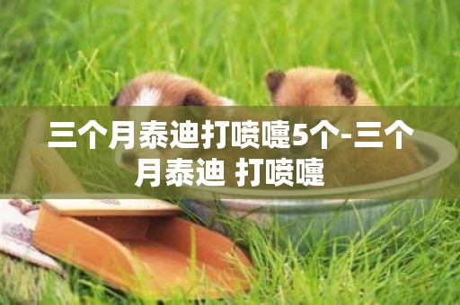 三個月泰迪打噴嚏5個-三個月泰迪 打噴嚏